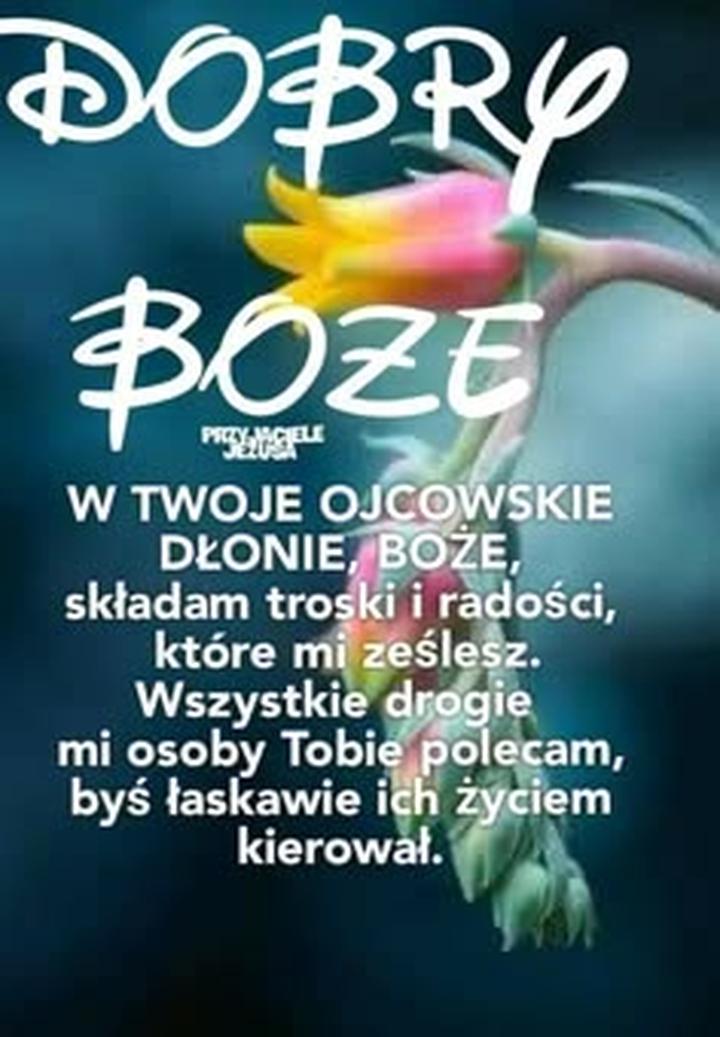 Nieodpowiedzialny ojciec cytaty