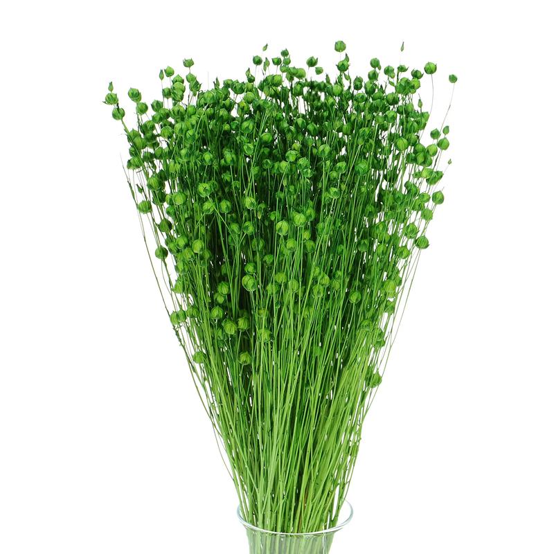 Historia lnu od uprawy do tkaniny