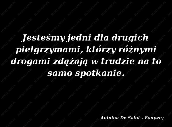 Motywacyjne cytaty do działania