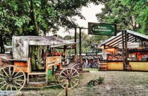 Ile stron mają sklepy cynamonowe? Odkryj tajemnice ich oferty!