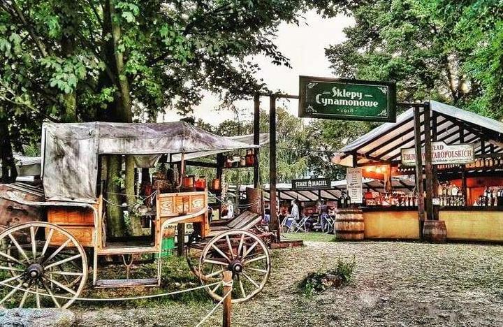 Ile stron mają sklepy cynamonowe? Odkryj tajemnice ich oferty!