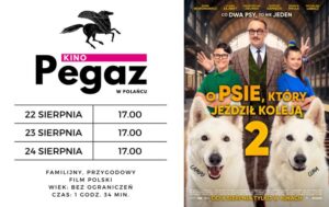 Odkrywając historię: Ile stron ma pies, który jeździł koleją?