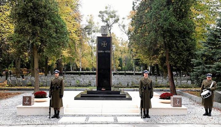 Analiza Gloria Victis