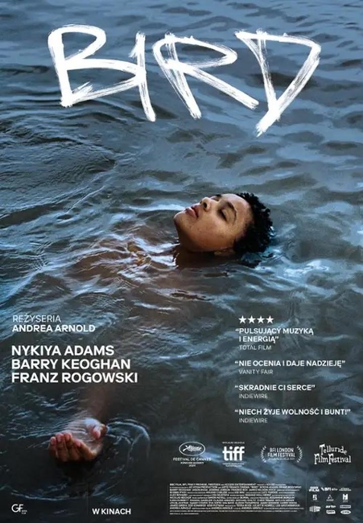 Nauka poezji i edukacja poety