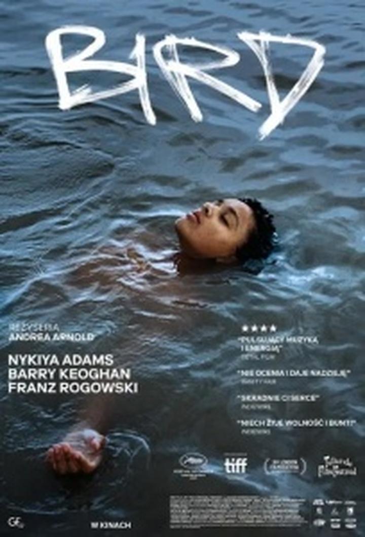 Odkrywanie talentu poetyckiego