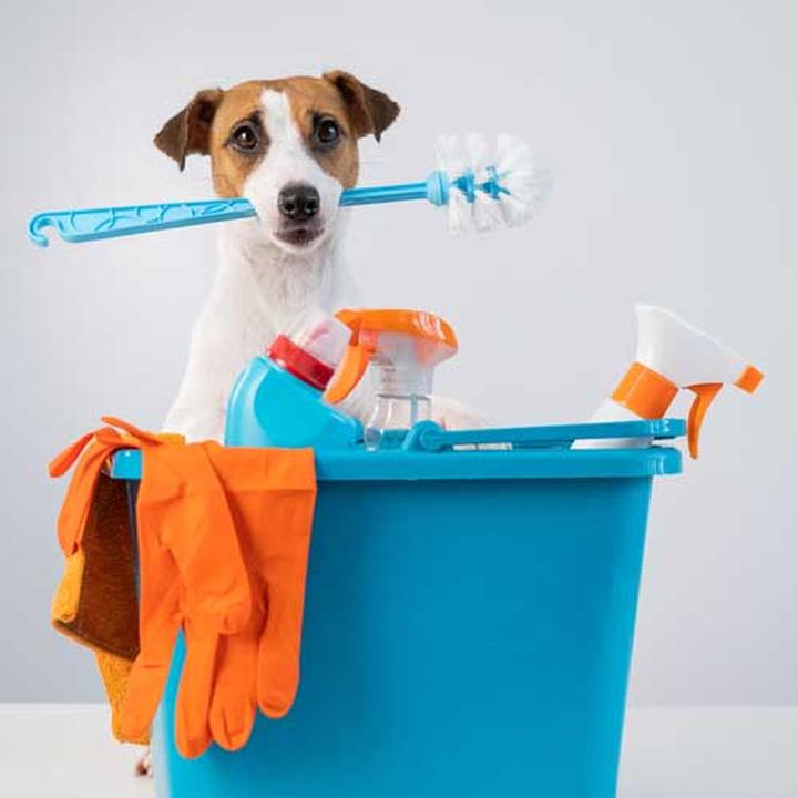 Magia porządku: inspirujące cytaty o czystości, które zmienią Twoje życie