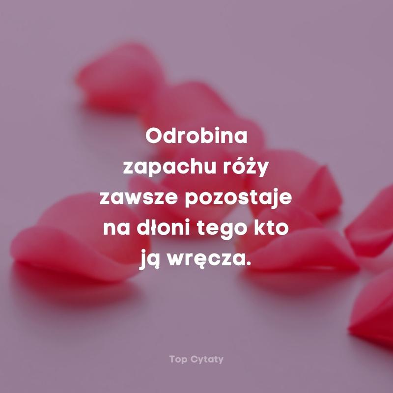 Inspirujące cytaty z poezji