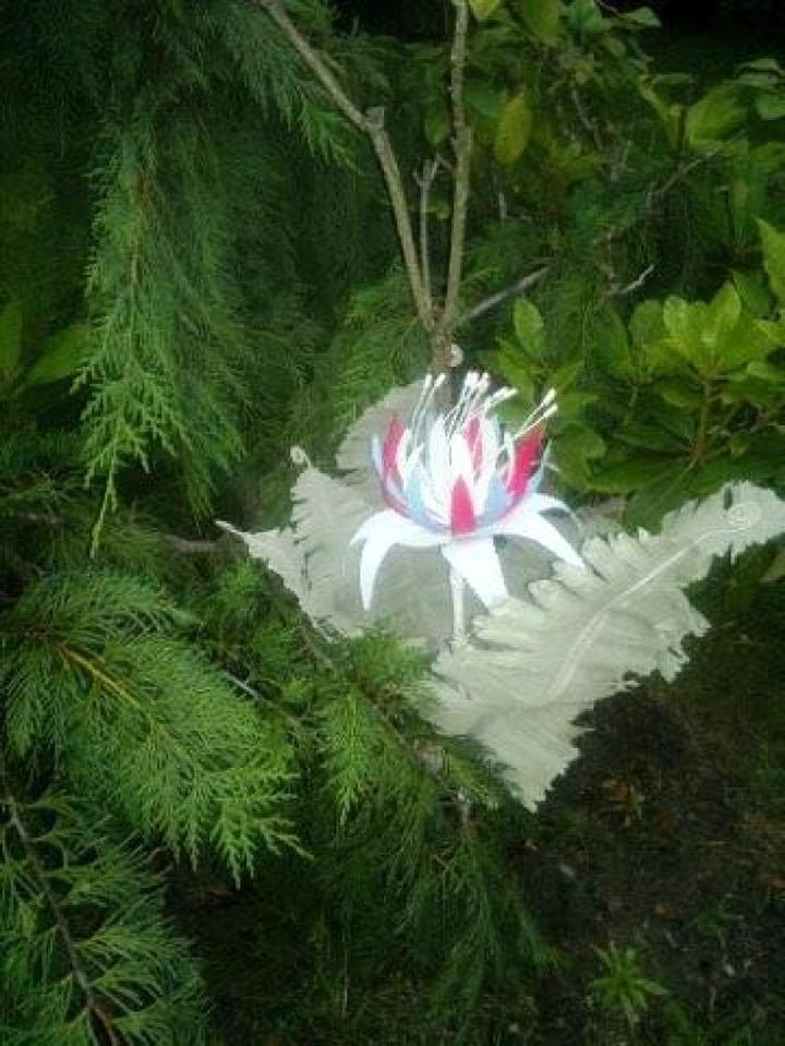 Legendy słowiańskie o kwiecie paproci