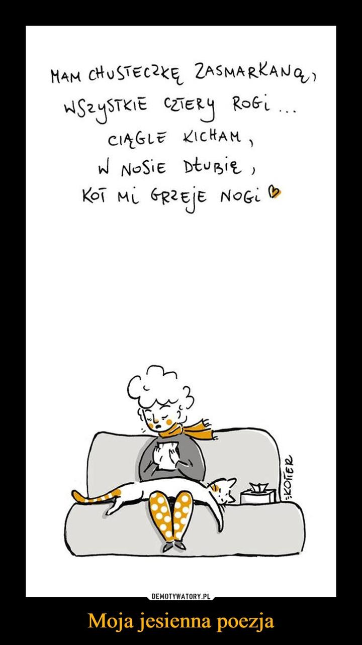 Melancholia w poezji