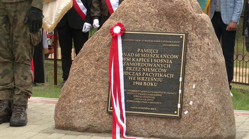 Symbolika sosny w poezji