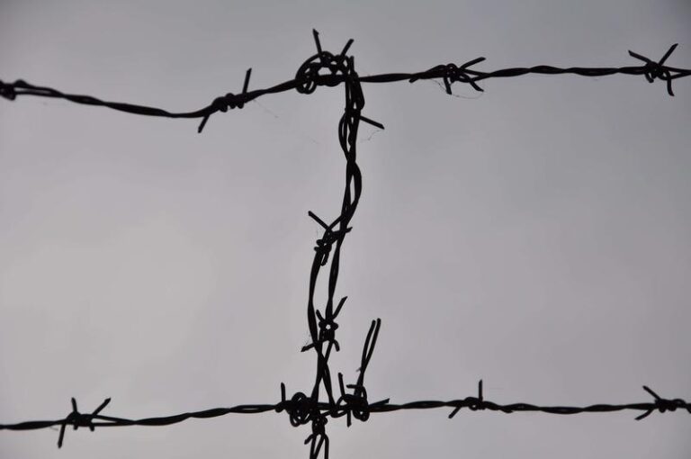 Magia wierszy o lataniu: odkryj poezję wzbijania się w niebo