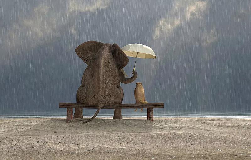 Książki o przyjaźni