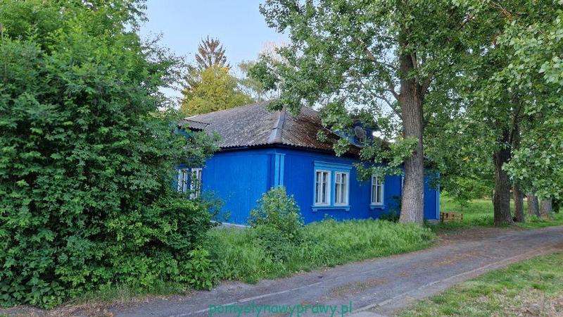 Nowe powieści o przyjaźni