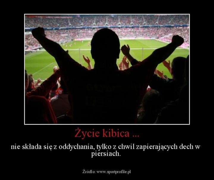 Cytaty o kibicach, które rozgrzewają serca fanów sportu