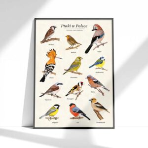 Odkryj fascynujący świat ptaków polskich w ciekawych książkach