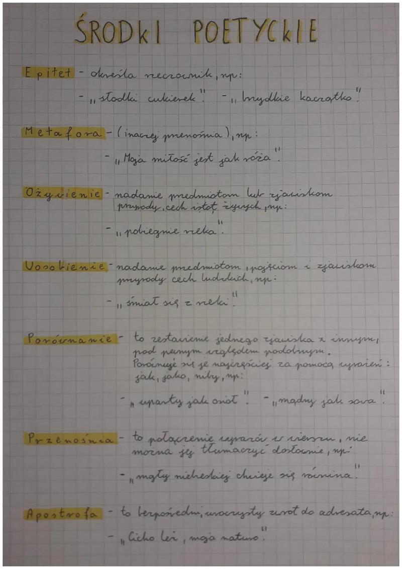 Animizacja w języku