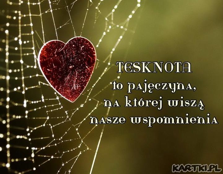 Emocje w literaturze