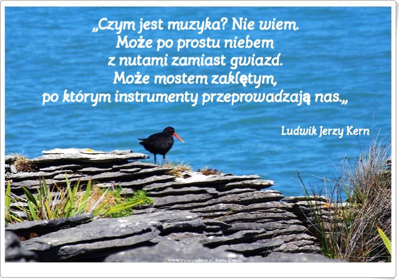 Muzyka jako forma wyrazu