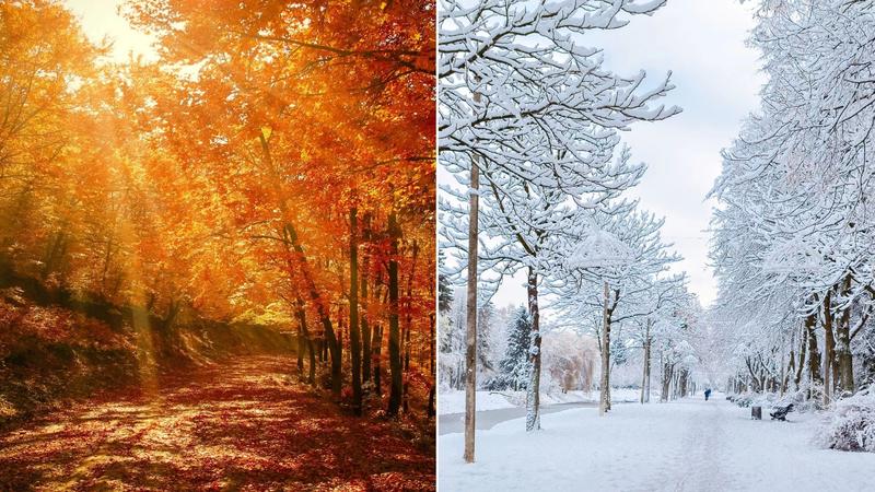 Poezja polskich poetów