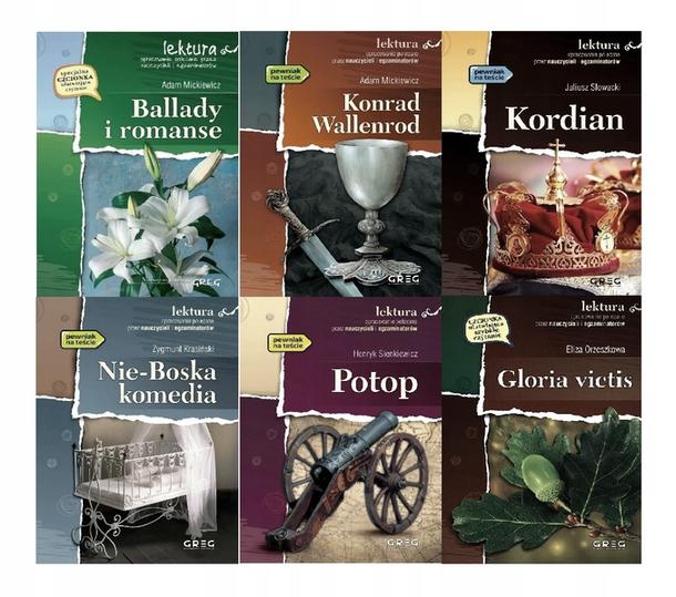 Rozwój czytelniczy uczniów