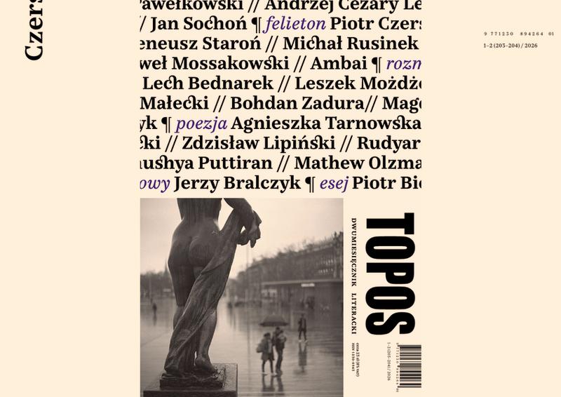 Topos w literaturze