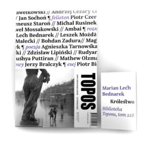 Jak topos wpływa na kształtowanie motywów w literaturze?