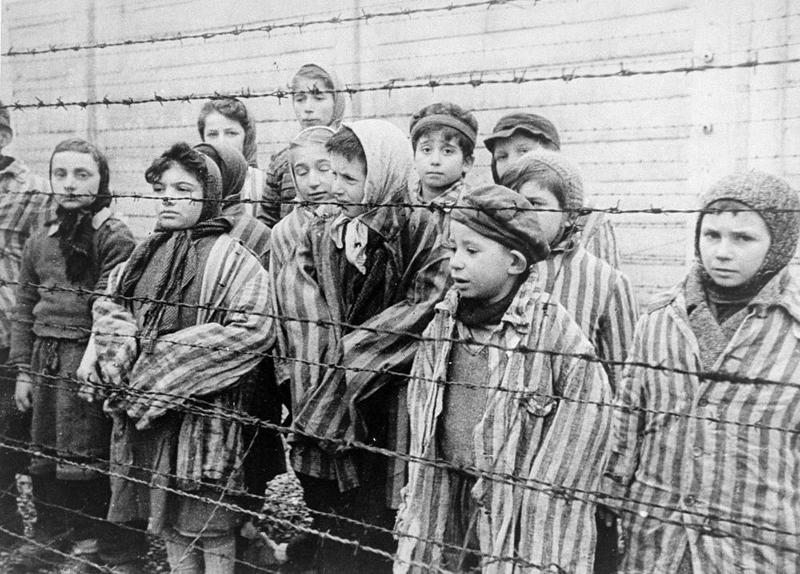 Odkryj historie w książkach o Auschwitz w formacie PDF
