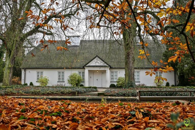 Wiersz o uroku Żelazowej Woli – odkryj magiczny świat poezji